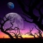 Profile Image for Amethyst Shadow.