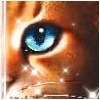 Profile Image for Sensitivemuse.