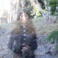 Profile Image for Constance.