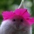 Profile Image for Karene Smith.