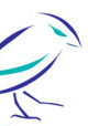 Profile Image for Blue Jay Media.