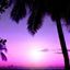 Profile Image for Connie Anderson.
