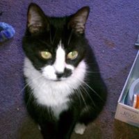 Profile Image for Laurie Beaulieu.