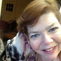 Profile Image for Carlynne Toomey.