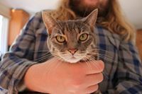 Profile Image for Dustin.